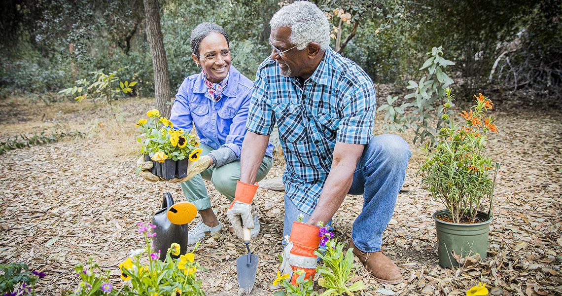 An elderly woman and man planting flowers in a garden and smiling to each other.