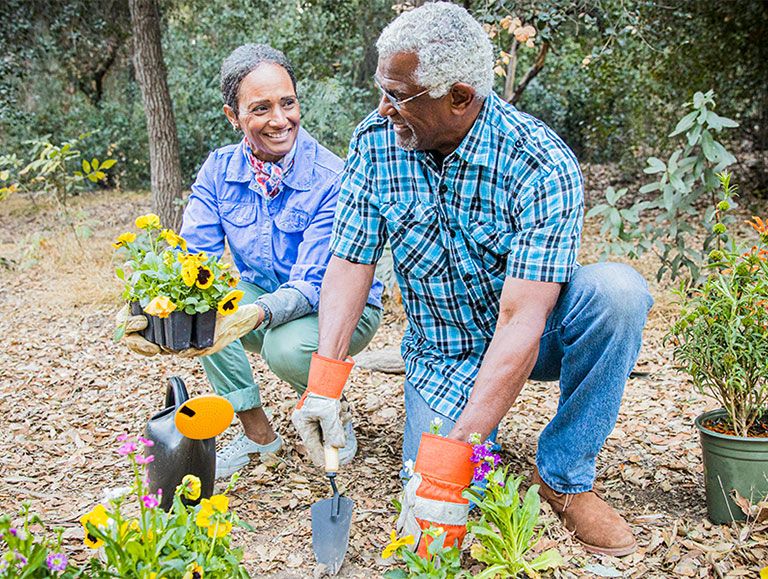 An elderly woman and man planting flowers in a garden and smiling to each other.